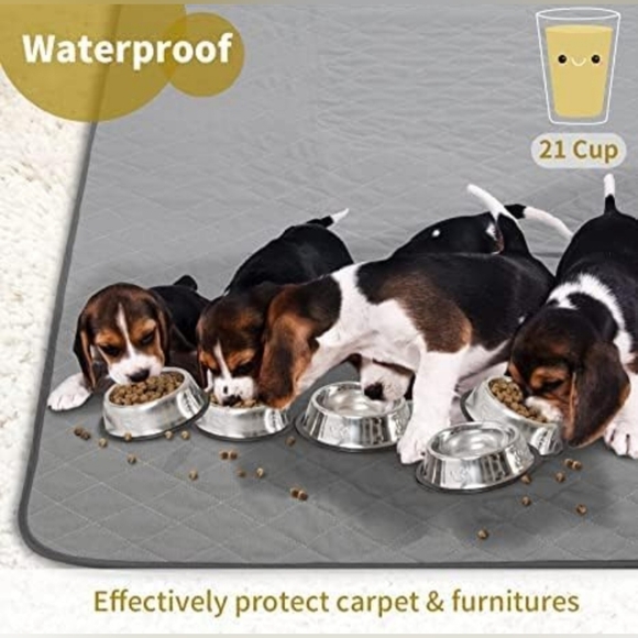 CoolShields Washable Puppy Dog Pee Pad 48" X 65" Extra Large Color  Gray - Picture 2 of 8